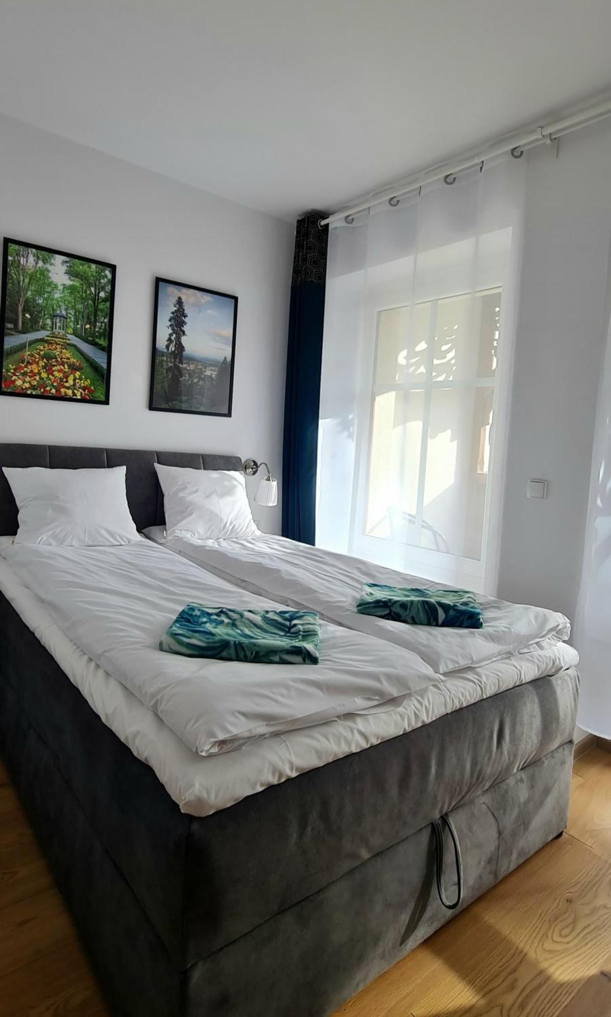 Apartamenty Debowa 3 波兰尼卡-兹德鲁伊 外观 照片